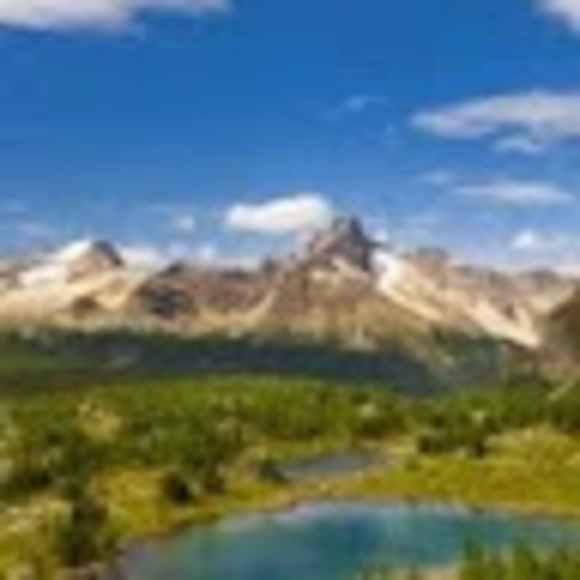 Meet your Posher, Jesse - Picture 1 of 1